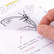 TRANSP WHITE ADHESIVE NOTES