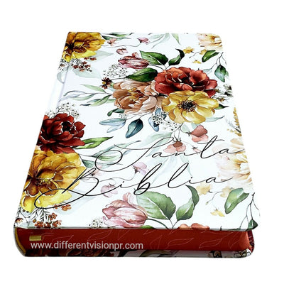 BIBLIA REINA VALERA RVR 1960 LETRA GRANDE