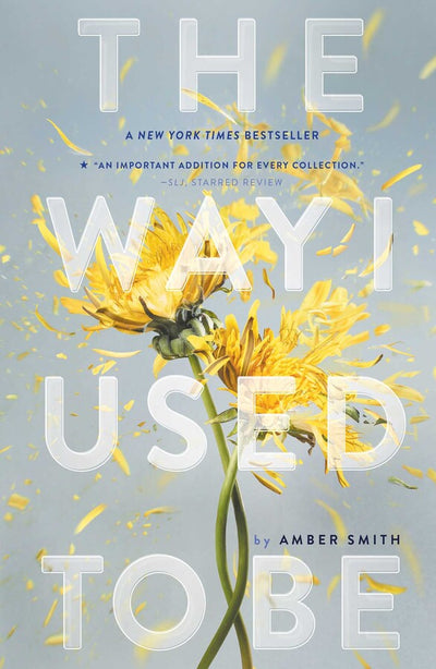 THE WAY I USED TO BE - AMBER SMITH