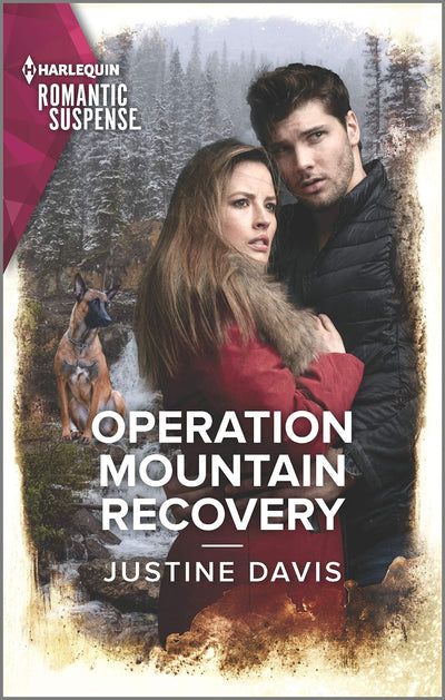 HARLEQUIN OPERATION MOUNTAIN RECOVERY