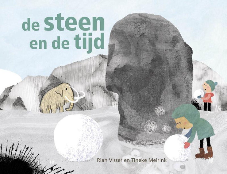 DE STEEN EN DE TIJD - Rian Visser