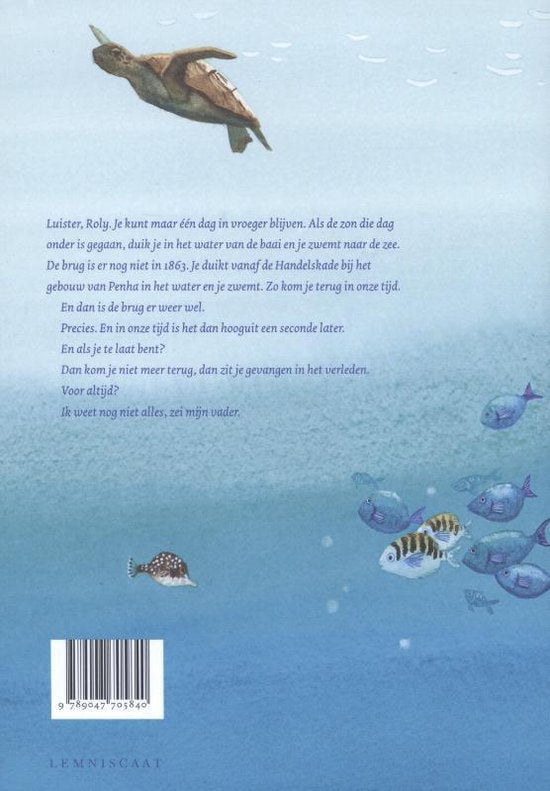 DE DUIK - Sjoerd Kuyper