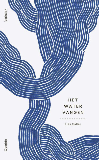 HET WATER VANGEN - LIES GALLEZ