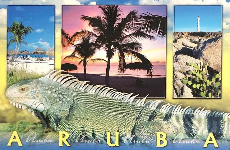 POSTCARD IGUANA ARUBA