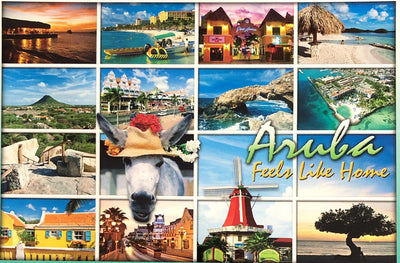 PCARD MULTI DONKEY ARUBA