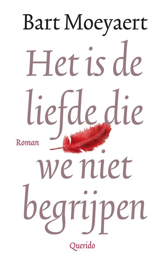 HET IS DE LIEFDE DIE WIJ NIET BEGRIJPEN - BART MOEYAERT