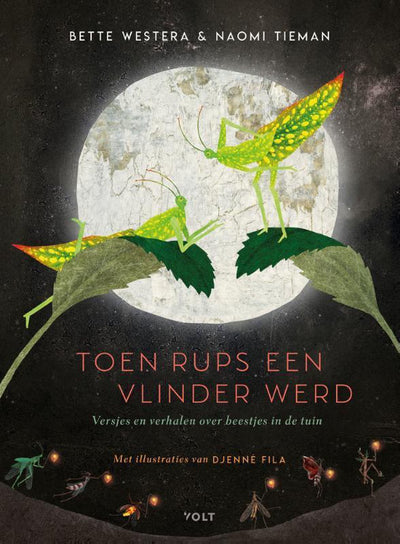 TOEN RUPS EEN VLINDER WERD - Bette Westera