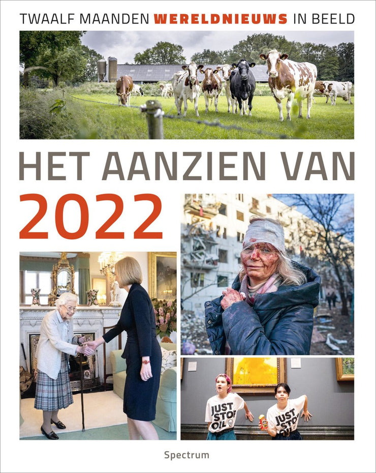 HET AANZIEN VAN 2022 - HAN VAN BREE