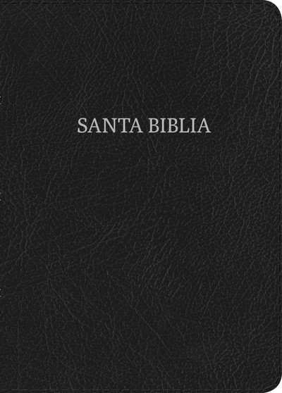 SANTA BIBLIA LETRA GRANDE TAMAÑO MANUAL