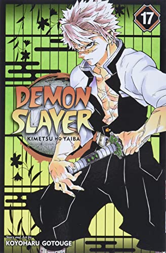 DEMON SLAYER:KIMETSU NO YAIBA VOLUME 17