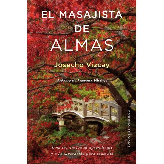 EL MASAJISTA DE ALMAS - Josecho Vizcay