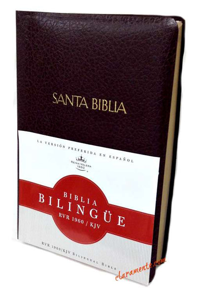 BIBLIA BILINGUE RV/KJ