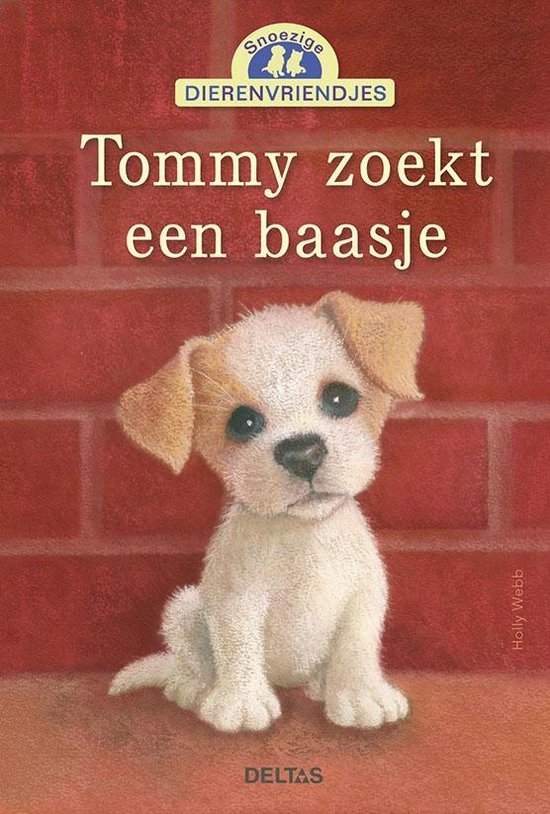 TOMMY ZOEKT EEN BAASJE