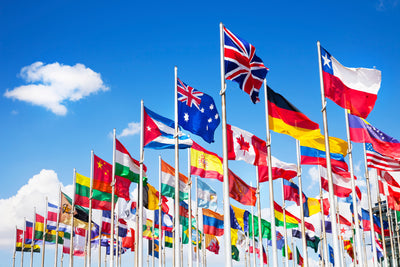 INTERNATIONAL FLAGS